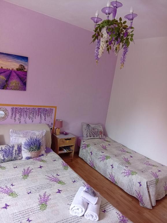 Apartman Lavanda M - 2