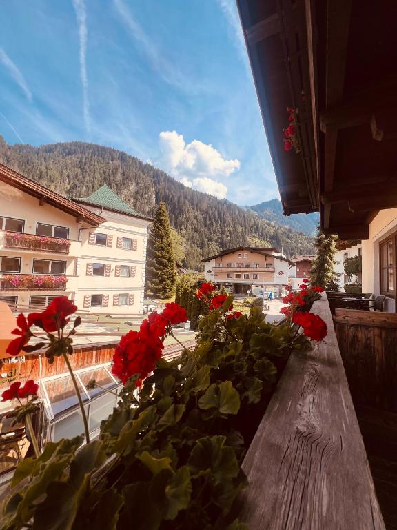 Edelweiss "Hotel & Restaurant" - 3
