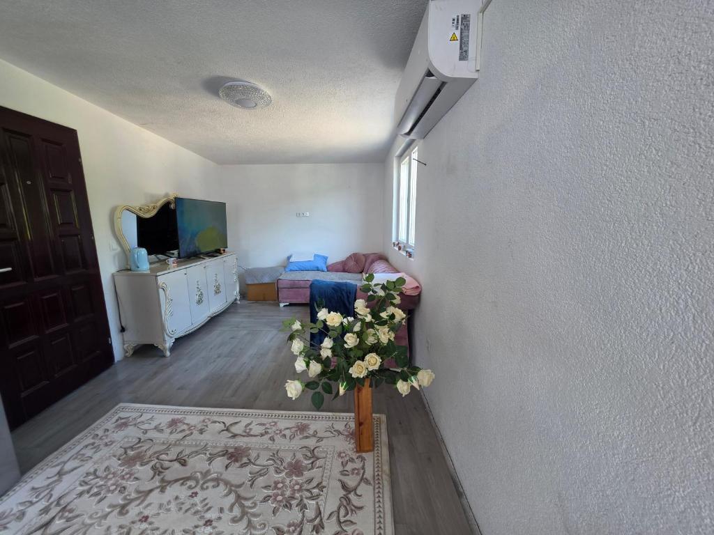 Apartmani rajka - 2