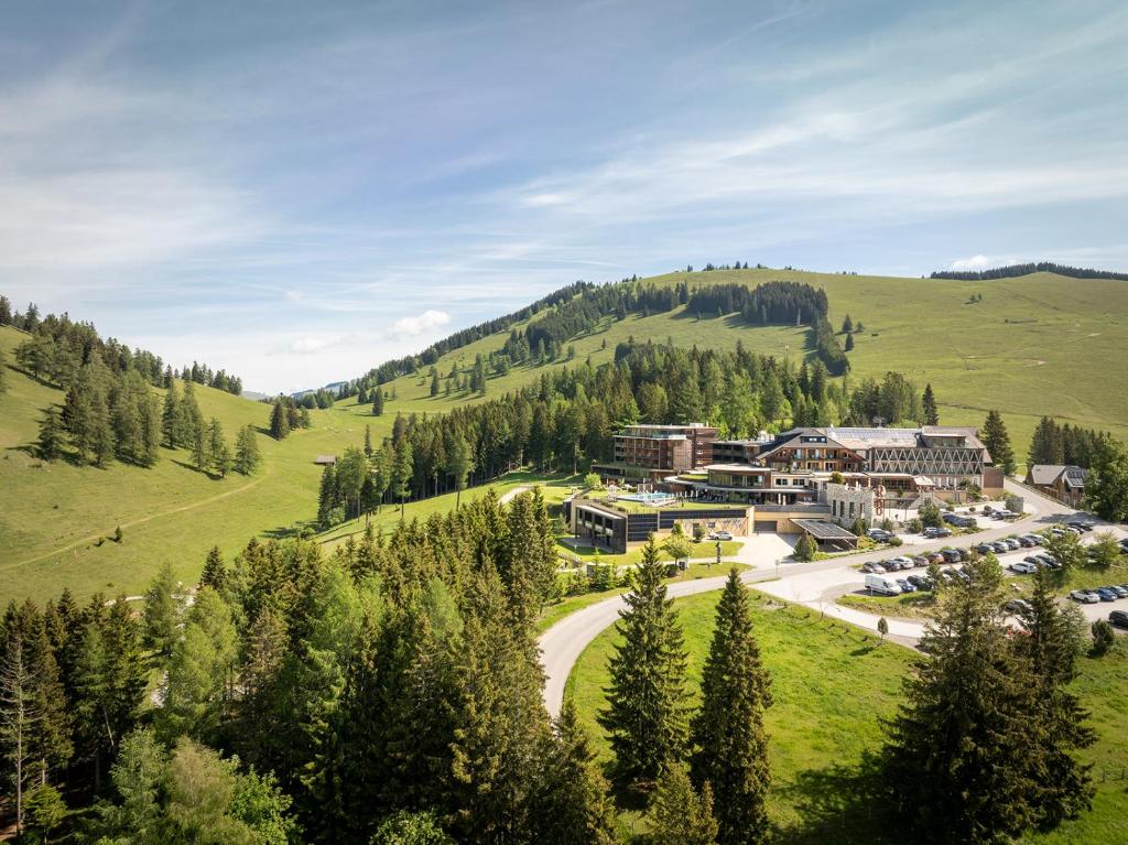 Almwellness Hotel Pierer - 1
