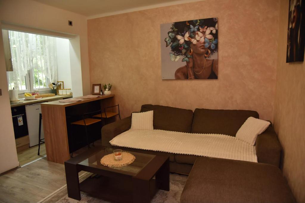 Casa Dorcol - 2