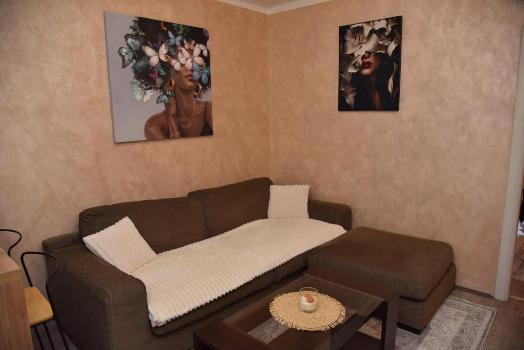 Casa Dorcol - 3