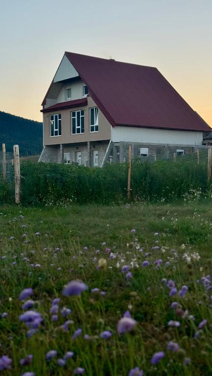 A&A Durmitor Apartments - 1