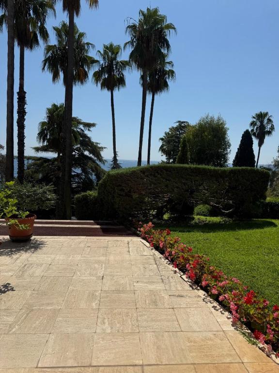 Studio in Cannes in private residence with pool - 5