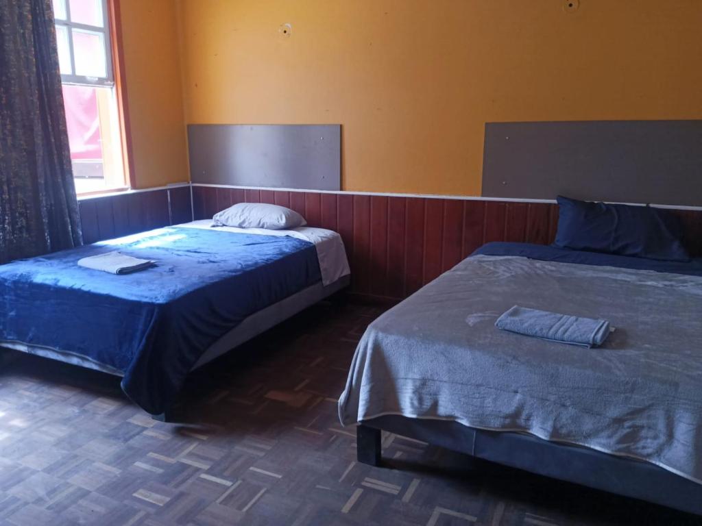 Hostal Piscis - 5