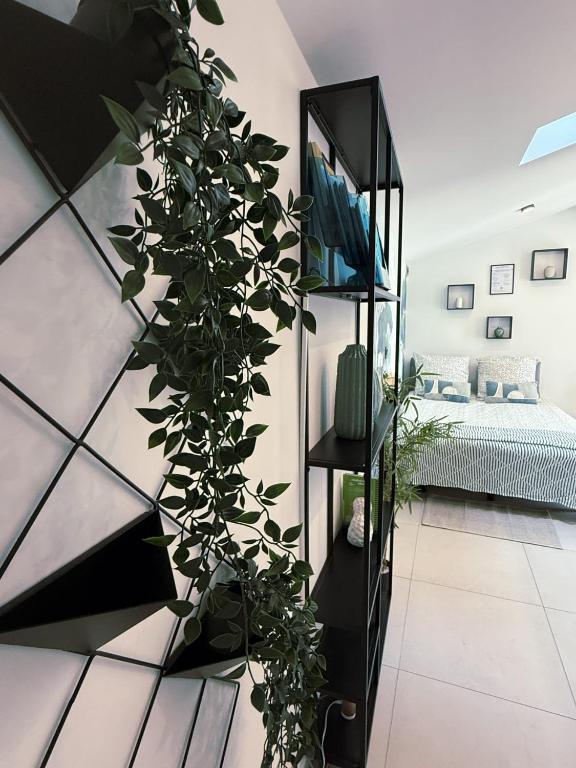 Coastal Gem - Private Parking & Air Conditioning - 3