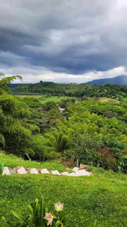 Infinity pool, mountain views and horses - 3