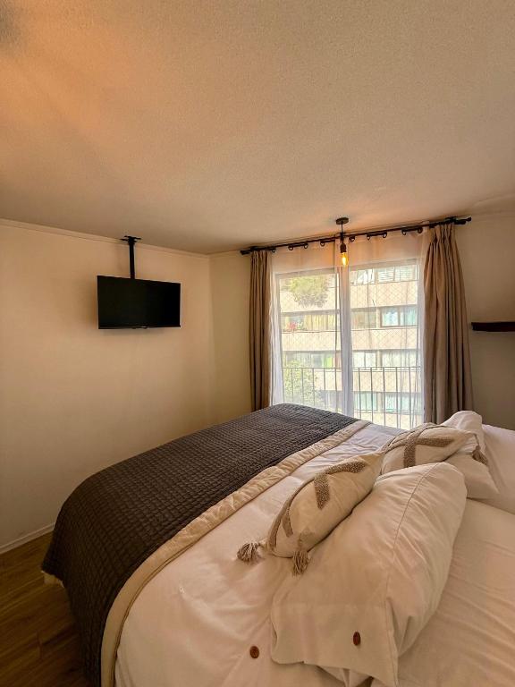 San Carlos rentals - Lastarria - 3
