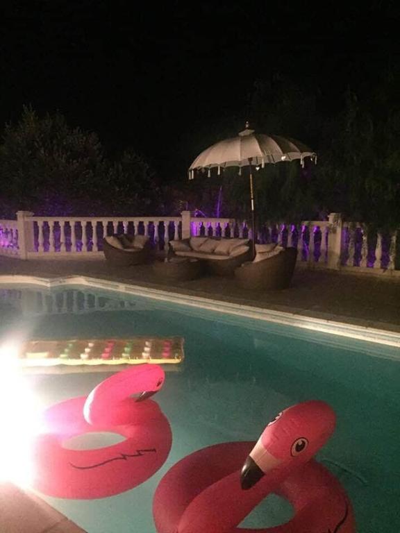 Bright villa with pool - 4