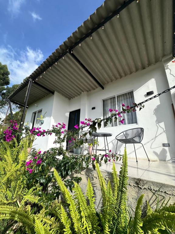 Cabaña privada cerca a termales San Vicente - 5