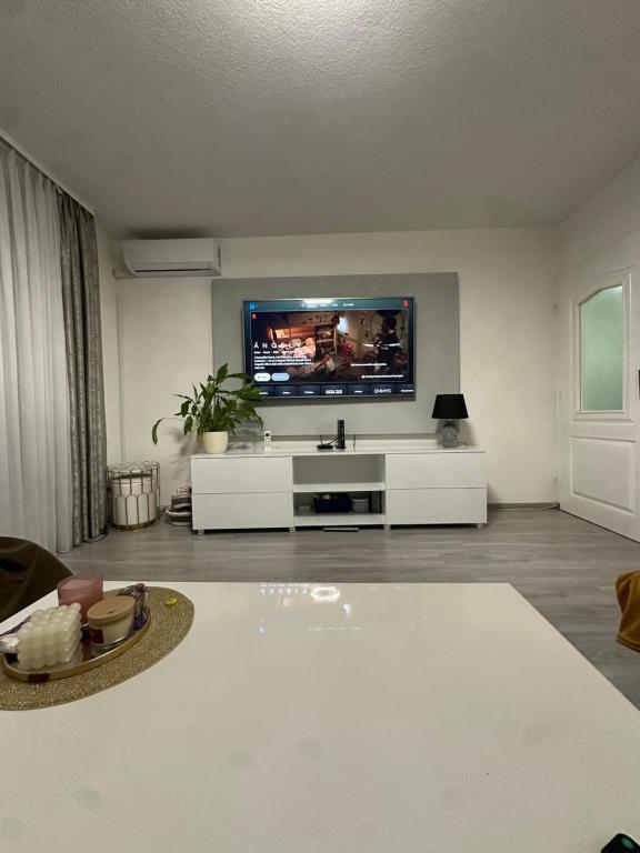 Apartman Višnjik - 3