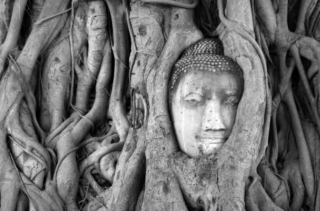 Közeli látványosságok