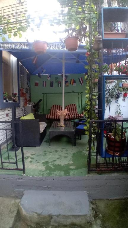 Apartment Dino - Garden - 3