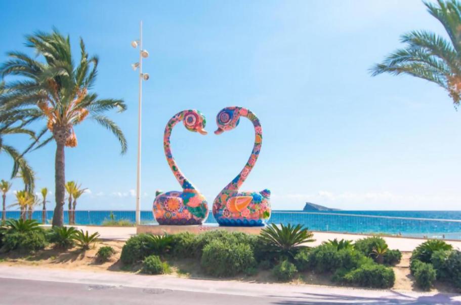 Apartamento Olivar Playa Benidorm - 1