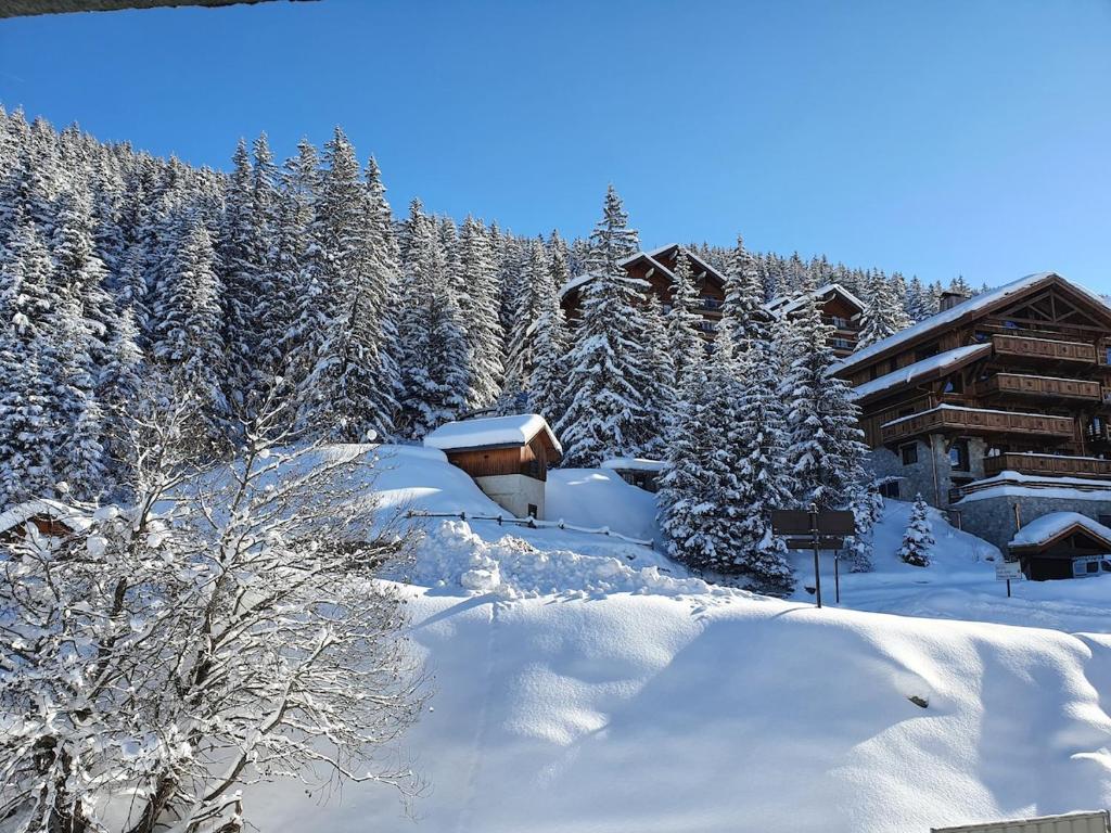 Beautiful, bright and fully equipped property in Méribel - 1