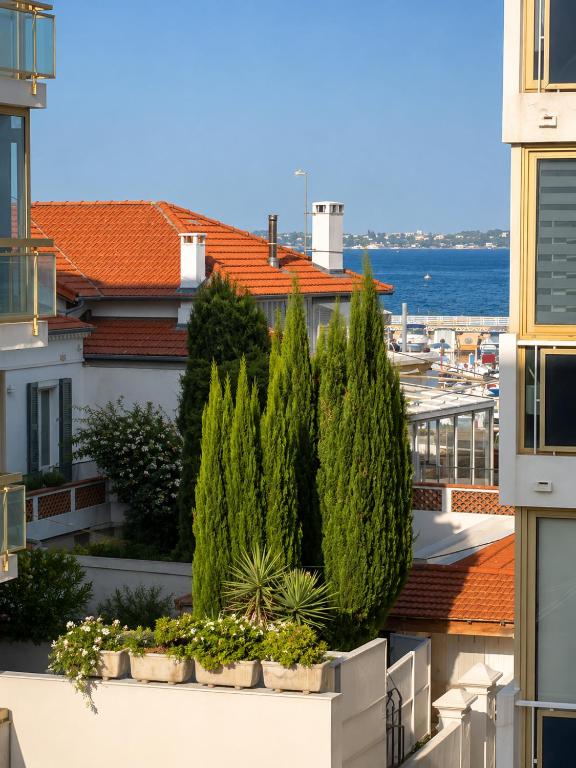 L'Hippocampe, Palm Beach, Studio, 2P, AC, Terrace - 4