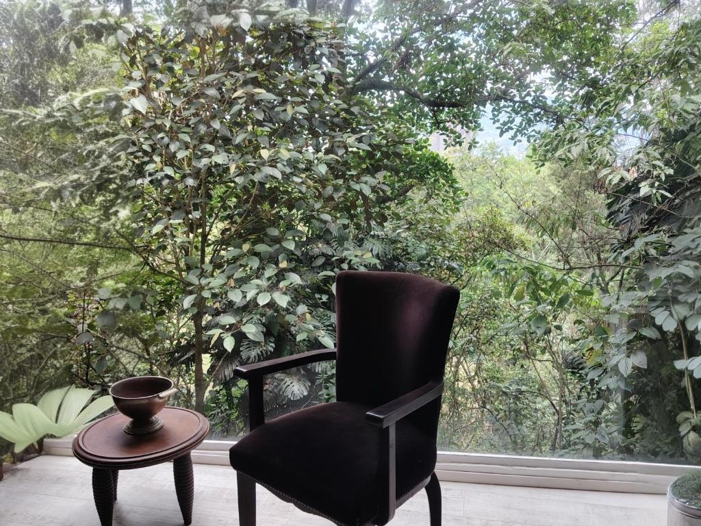 Luxury Nature Suite El Tesoro - 1