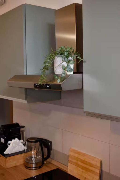 Denvoria studio - 4