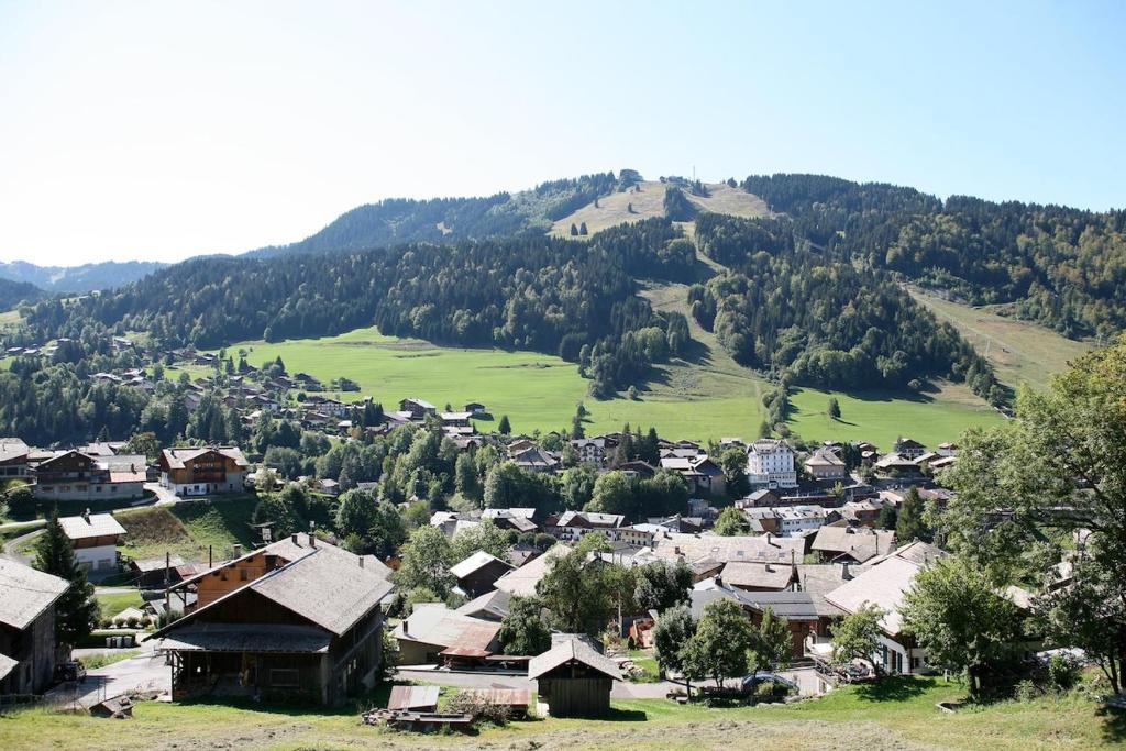 Quiet property in Morzine with panoramic views - 4