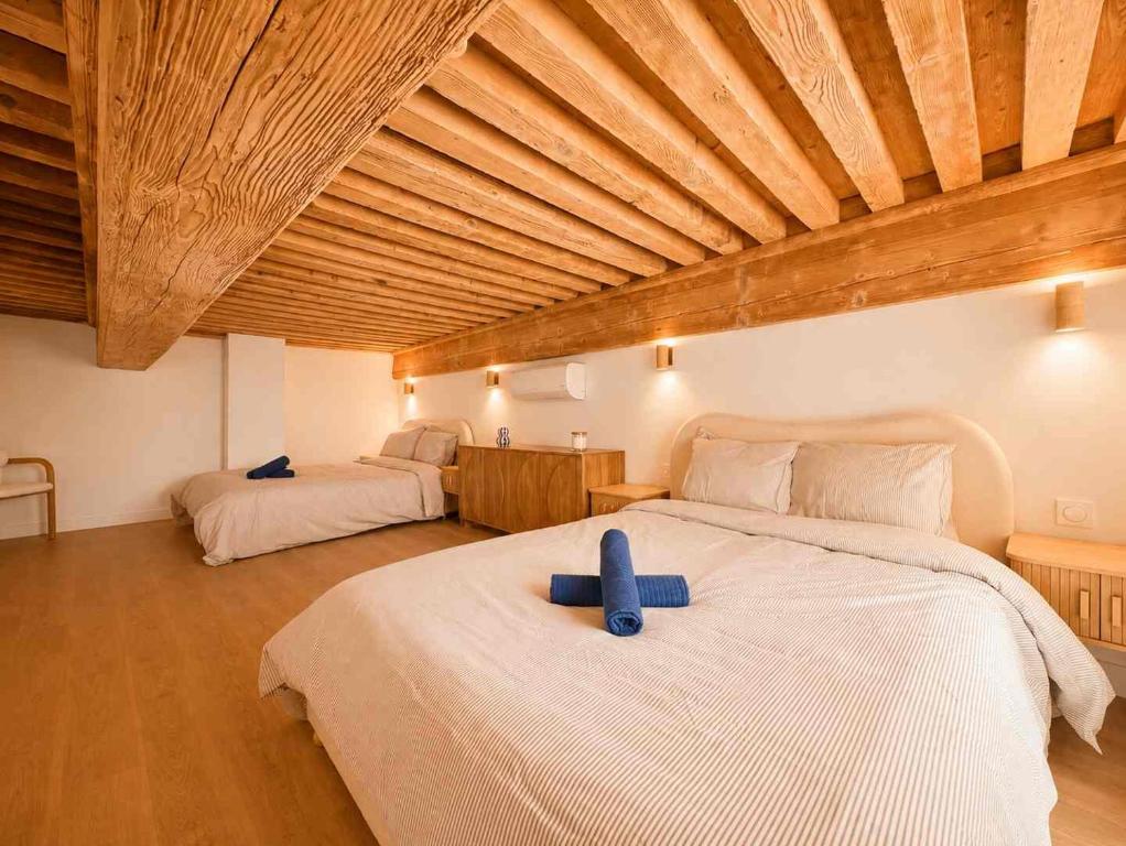 Loft - Lyon Bellecour 10 couchages - 3