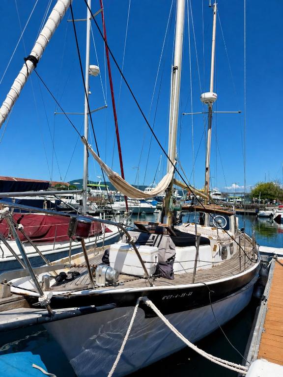 Mr Cóndor barco - 2