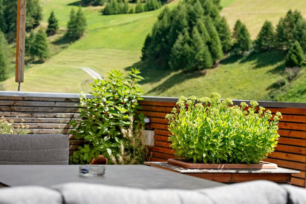 Pritscheshof Ferienwohnung Terrasse - 3