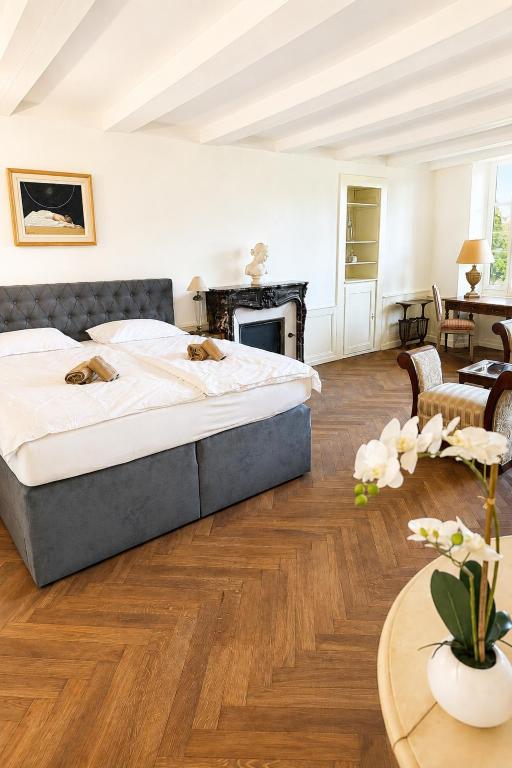 Le Jardin d'Aventicum - Elegant Old Town Apartment - 1