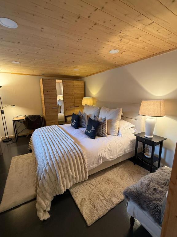 Little Chalet Piguet - 1