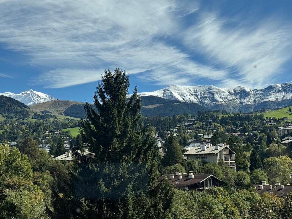 Cozy and beautiful property in Megève - 4