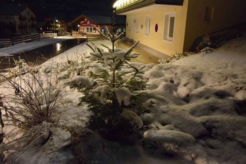 GastHaus Tiotrag Easy Access & Private Parking - 4