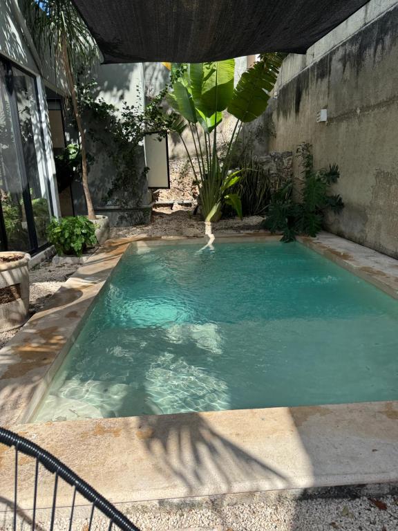 Casa Ramon Merida 2 BR AC Private Pool Centro - 5