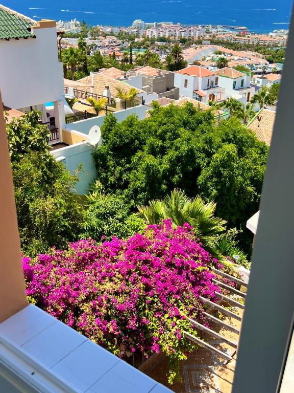 Villa Bella Vista- Luxury Ocean & Mountain Views - 5