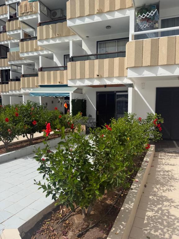koka 01, playa del inglés - 3