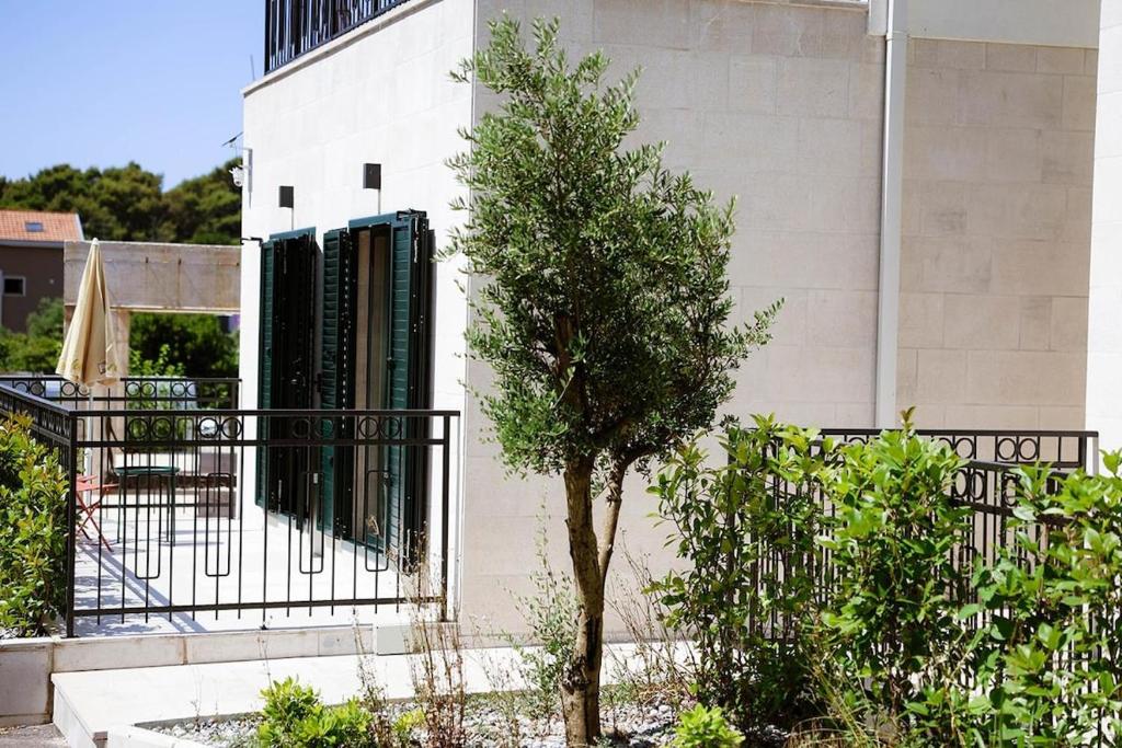 Apartment Sava - 2