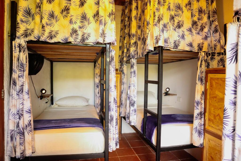 Tribu Hostal - 3