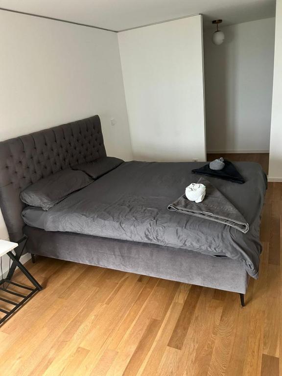 1 Bedroom Apartment near Central Station with Parking - 2