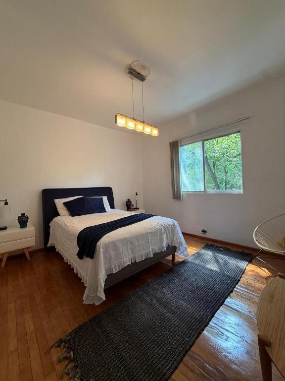 Bright apartment in the heart of La Condesa - 3