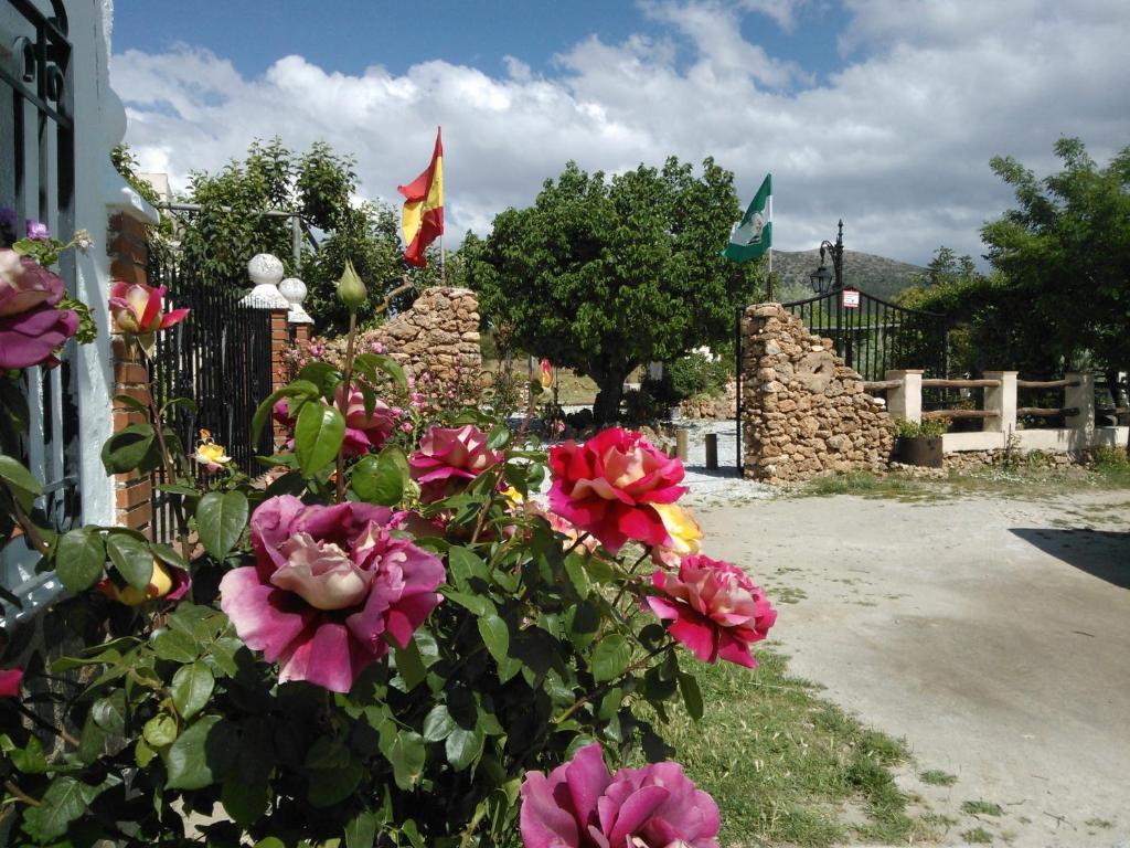 Cortijo Los Soledad, El Sauco