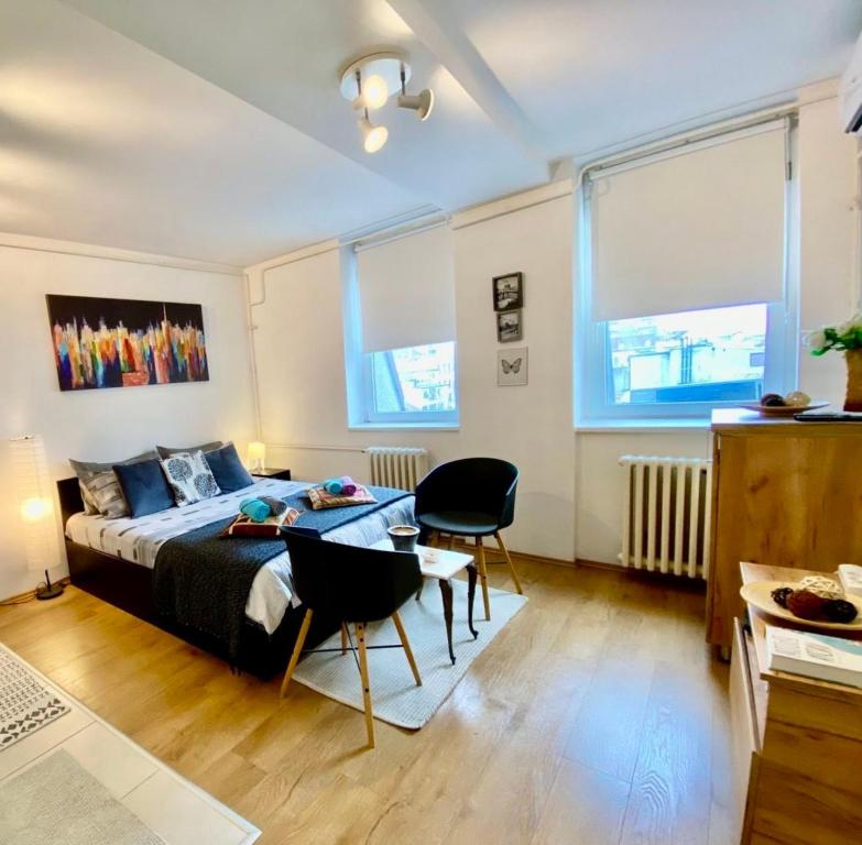 Scandinavian Studio Belgrade Center - 1