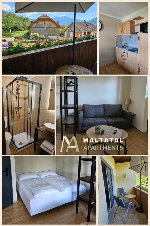 Maltatal Apartments - 2