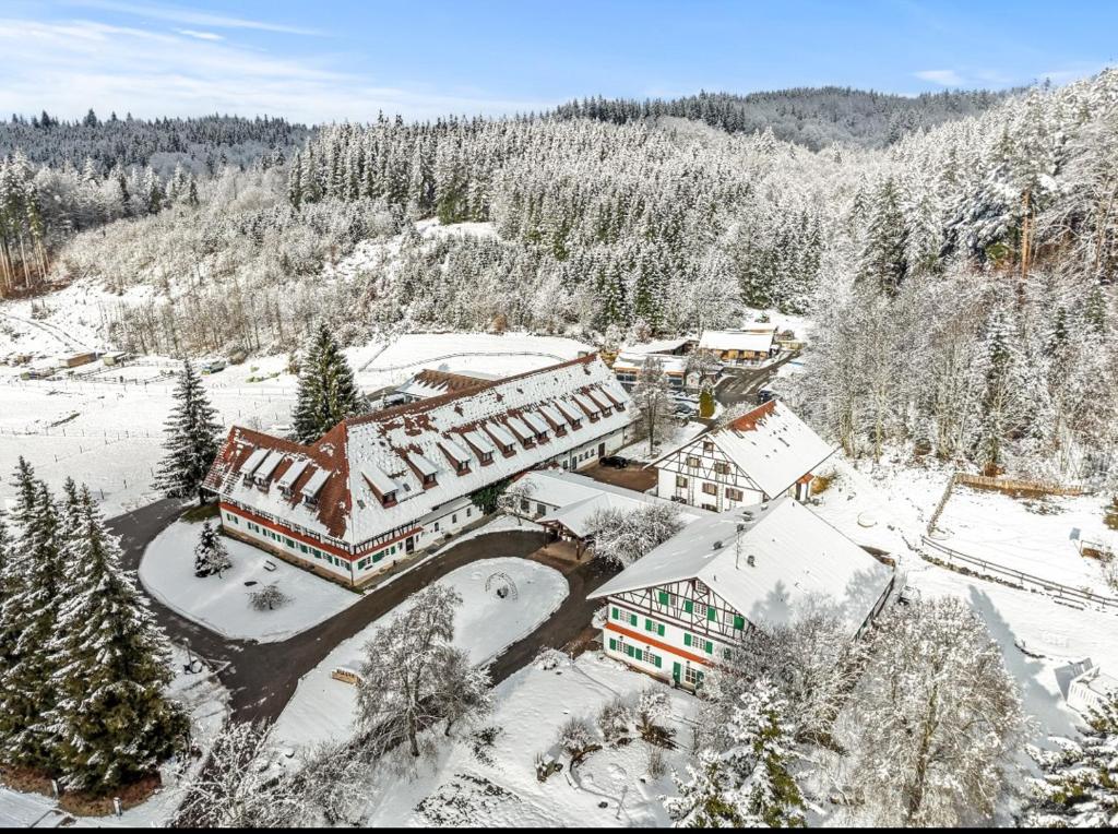 Allgäu-Traum Rundum sorglos - 1
