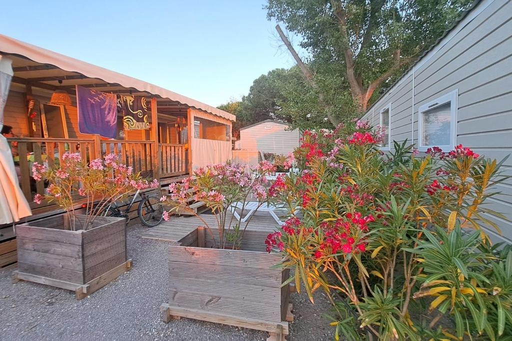 Mobil-Home 2 chambres 2 salles de bain - 3
