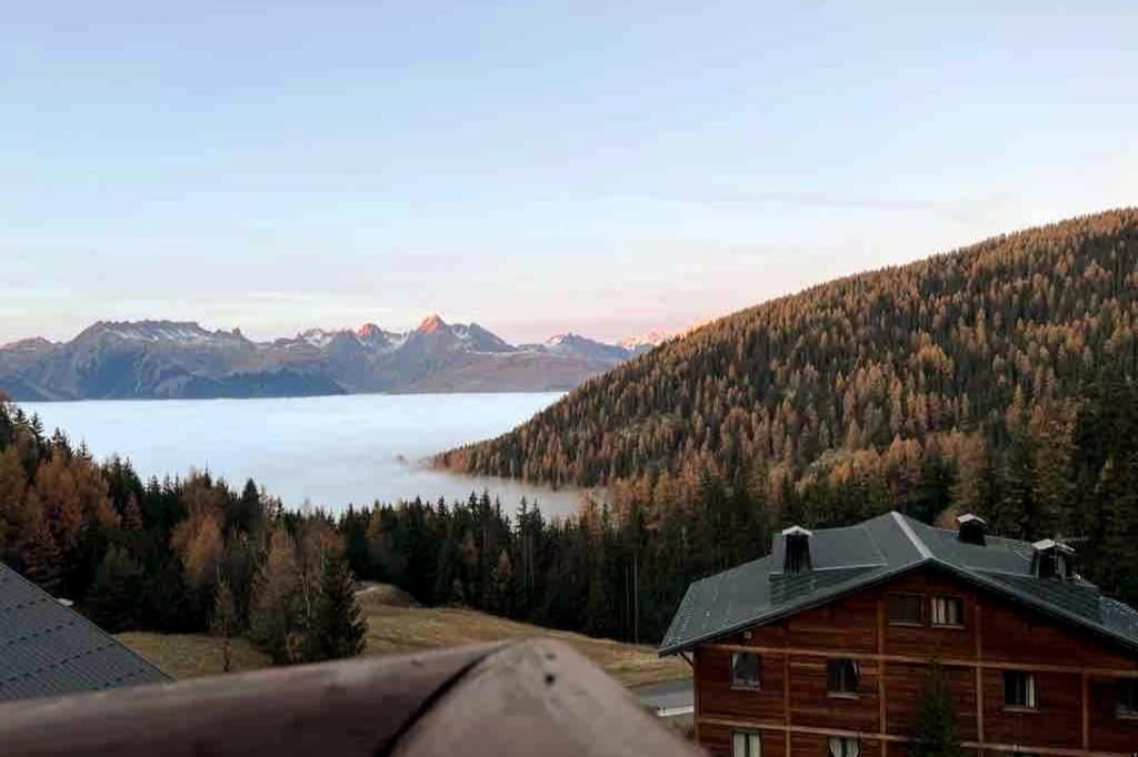 Cozy and charming in La Plagne-Tarentaise - 2
