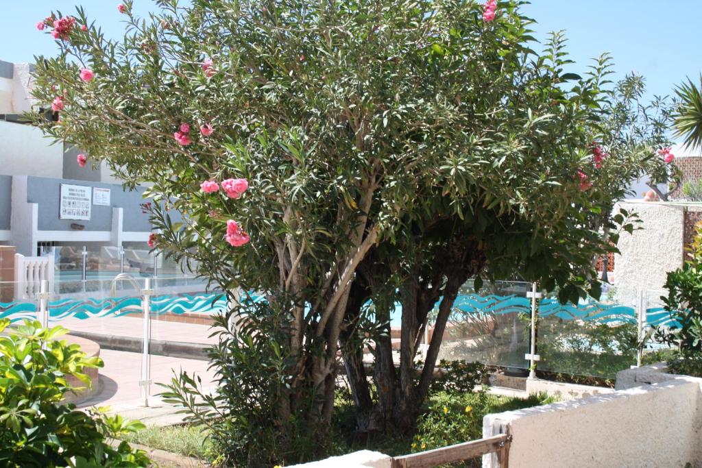 apartamento relax con cerca del mar - 5