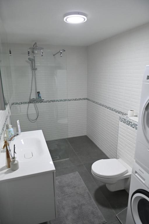 Luxury Duplex with Private Jacuzzi Free Parking - 4