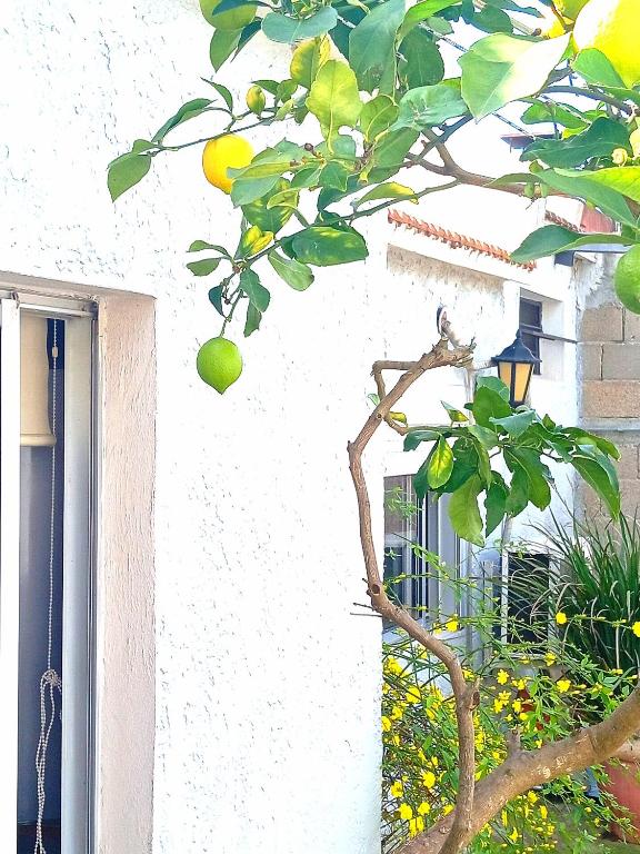 Apartamento en el centro de la ciudad - 5