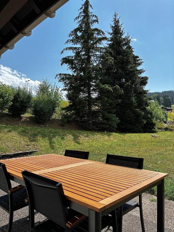 Pieds des pistes & jardin avec vue MontBlanc - terrasse rez de jardin, wifi, parking privé, linge de lit, cuisine équipée - 1 à 4 pers - 3