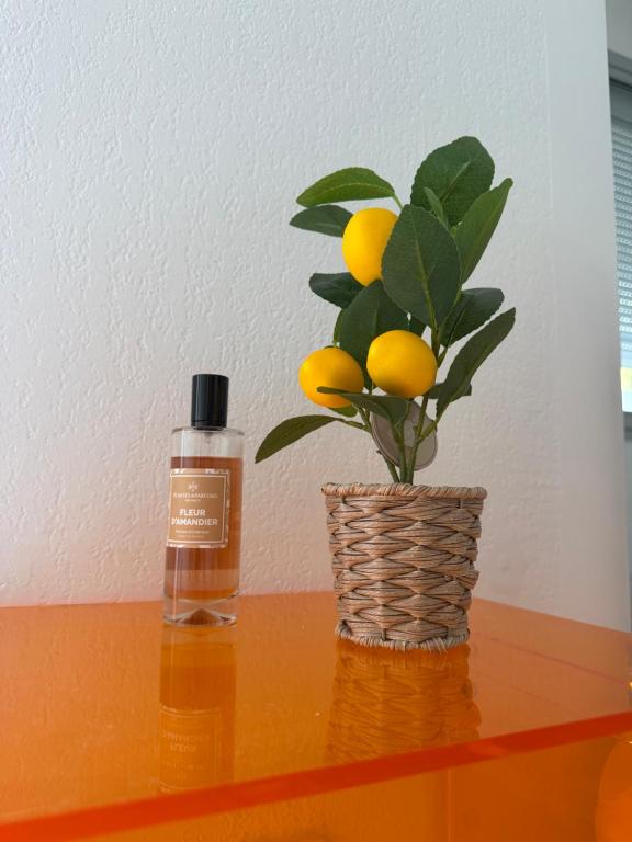 Lemon Sea - 4