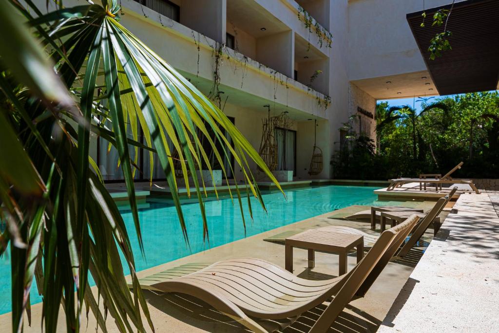 2 Bedrooms, Rooftop & Pool at La Veleta - 5