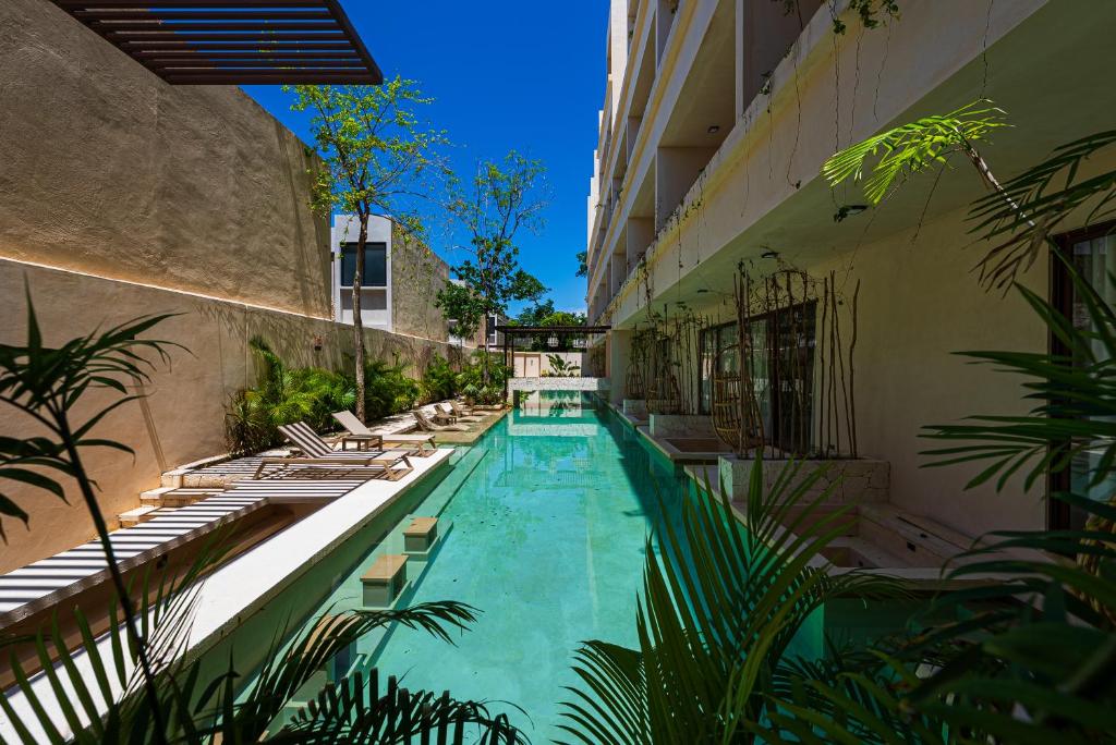 2 Bedrooms, Rooftop & Pool at La Veleta - 1